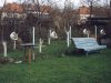  Miłośnik której partii