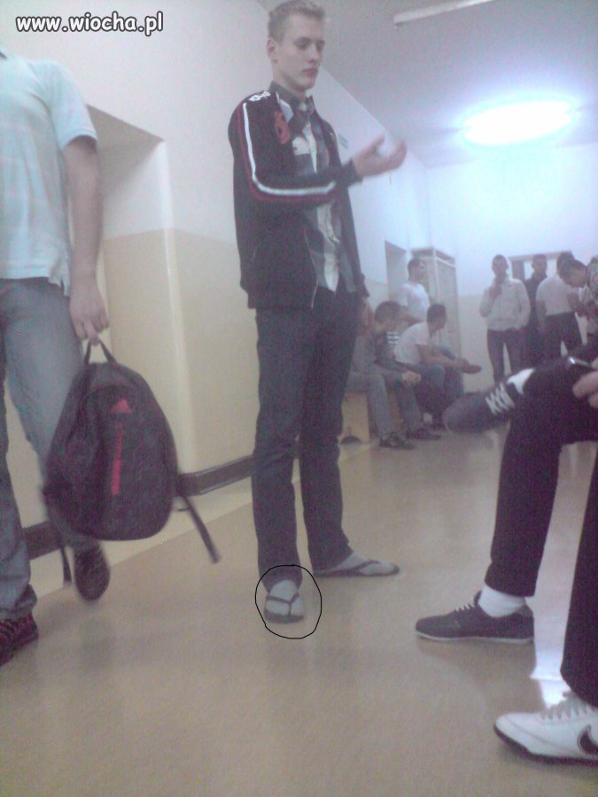 Nowa Moda 