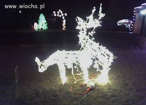 Swięta, święta