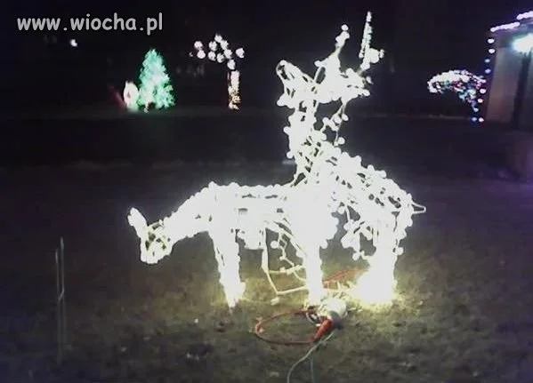 Swięta, święta