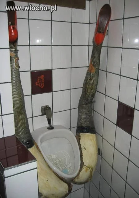 Co za nogi...
