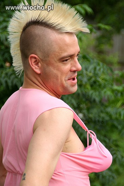 Homo Punk is not dead