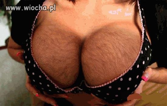 I jak podoba się 