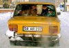 Transport bydła