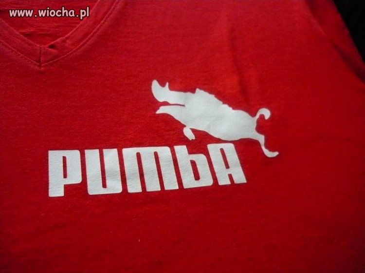 PUMBA