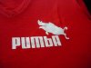 PUMBA