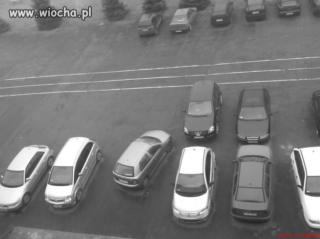 Mistrz Parkowania