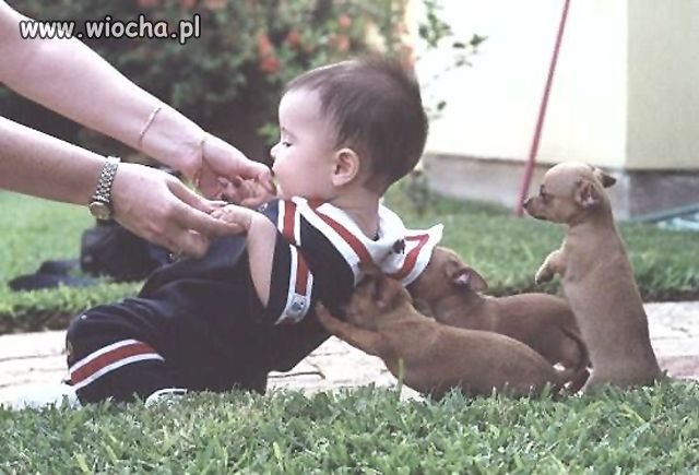 Może i nie wiocha, ale zdjęcie świetne