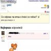 Chciał jajca