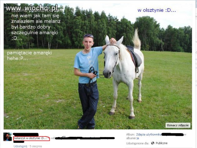 Melanżowanie z koniem
