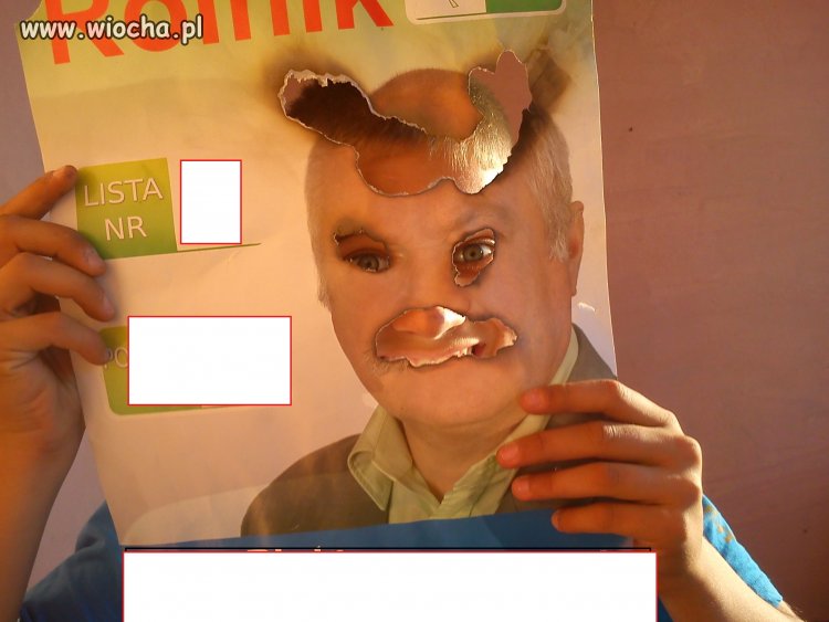 Przedwyborcza wiocha