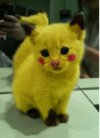 Pikaczu...