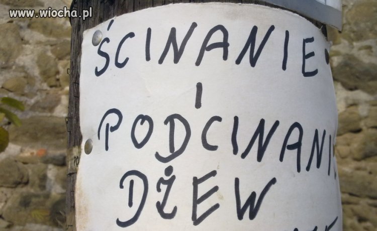 Polscy fachowcy