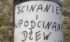 Polscy fachowcy