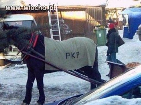 Oto przyszłość PKP