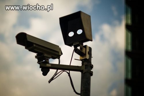 Ręce do góry
