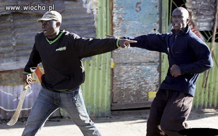 Cwaniaczki jakich mało ...