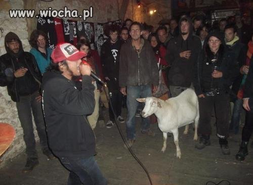 Koncert