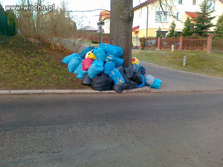 Po co chodzić do śmietnika