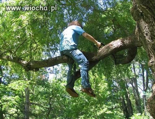 Przysłowia mądrością narodów.