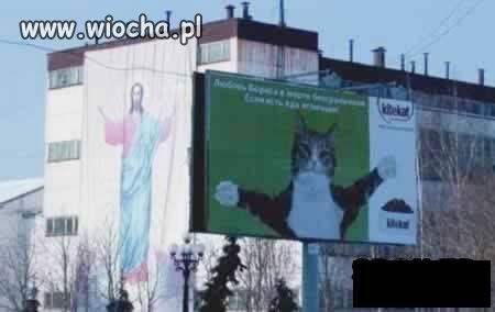 Bez komentarza