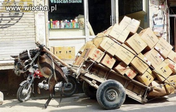 RedBull