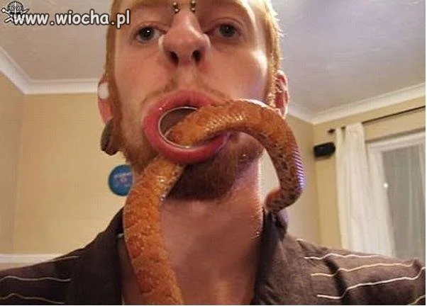 Co to jest?