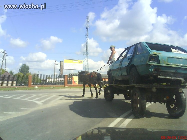 Polak potrafi