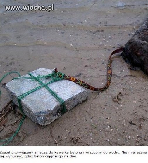 Tylko prawdziwy wieśniak mógł zrobić coś takiego!!