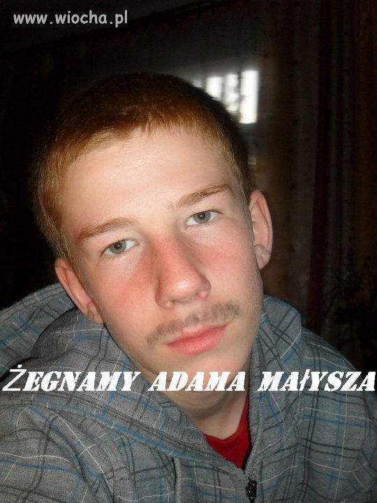 Wąsik w photoshopie