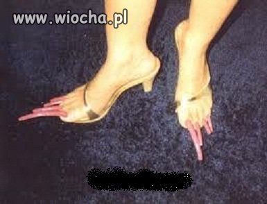 Wtf?