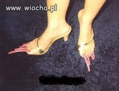 Wtf?