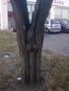 Fajne