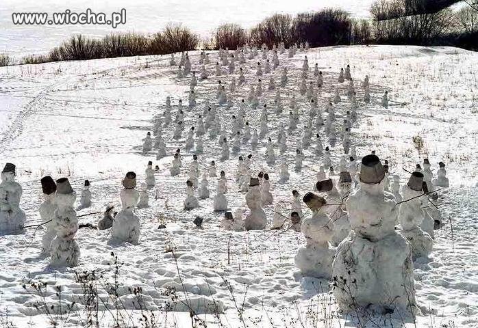 Stado bałwanów...