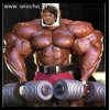Mistrz photshopa