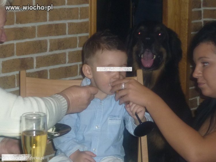 Poczęstunek z zagrychą