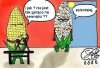 Kukurydza to też wampir 