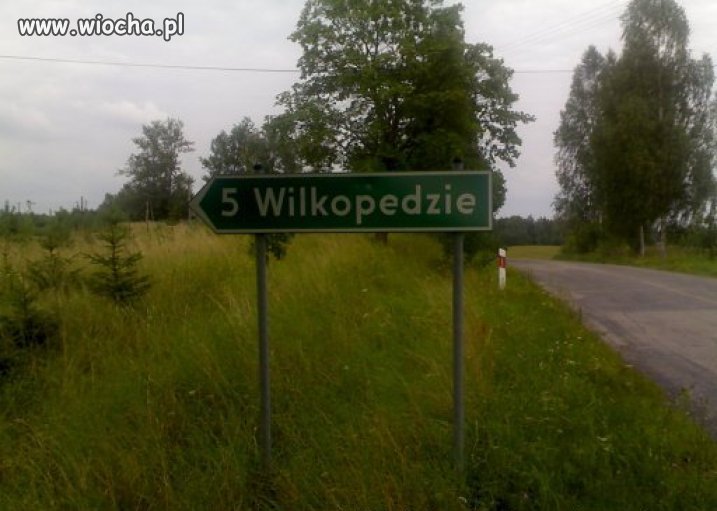 Wilkopedzie