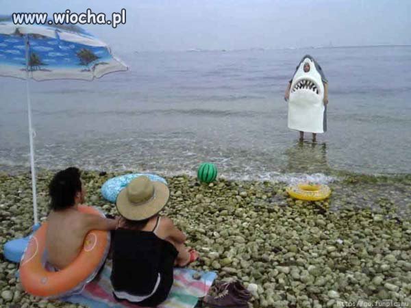 Szczęki powracają!!!