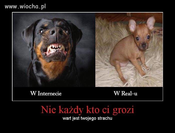 Największe kozaki w internecie
