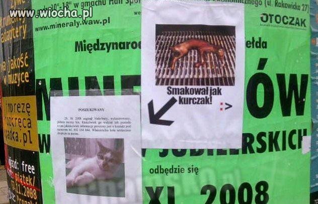 Smakował jak kurczak...
