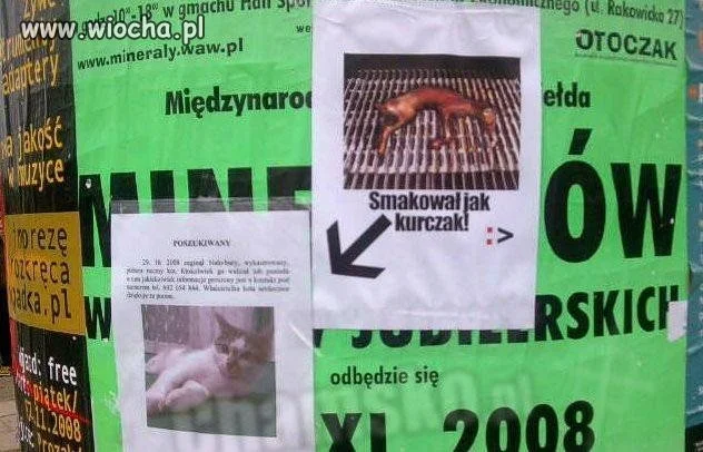 Smakował jak kurczak...