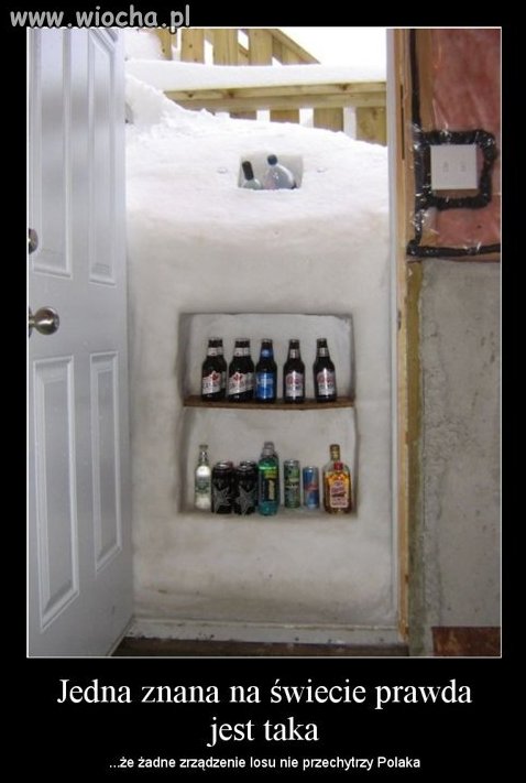 Zima
