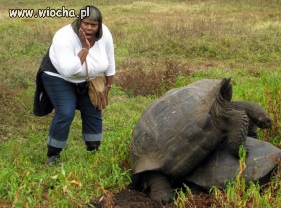 Nie ma to jak