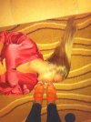 Stopy!