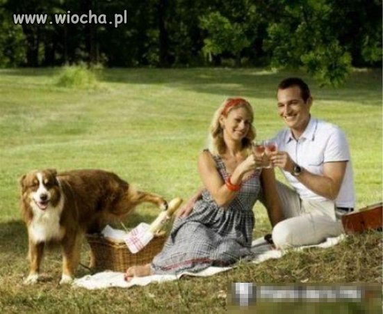 Niema to jak udany piknik.