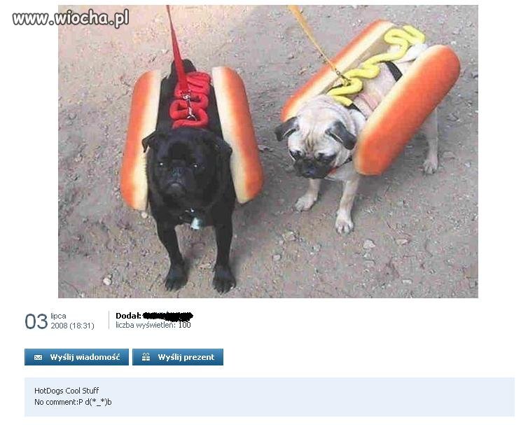Hot Dogs