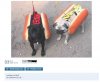 Hot Dogs