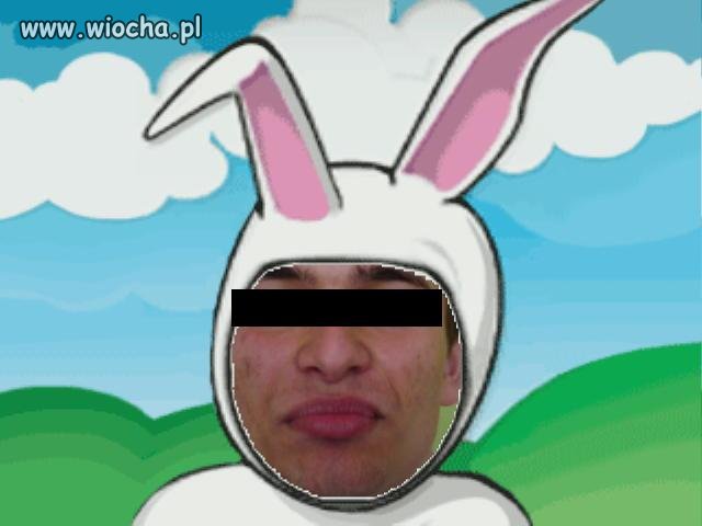 Króliczek Playboya...