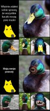 I nagle